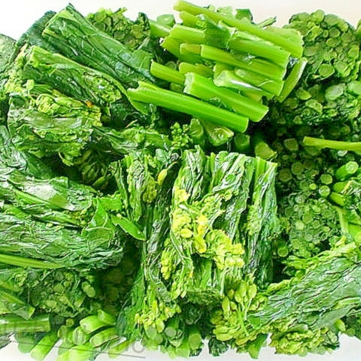 旬菜 かき菜 のおいしい茹で方 レシピ 作り方 By Suzhoutomo 楽天レシピ